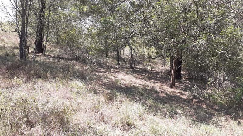 0 Bedroom Property for Sale in Albertinia Western Cape